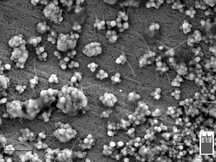 Fotoelektrokemične sončne celice http://ceramics.