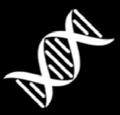 We at RIDACOM believe that science and diagnostics should be affordable and scientists should feel free in their choice, therefore we offer products, services and