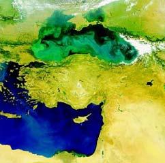 Η βιολογική ανάπτυξη θαλάσσιων οργανισμών στις περιθωριακές θάλασσες μπορεί είτε να διεγερθεί είτε να ανασταλεί ανάλογα με τη φύση και τη συγκέντρωση ρύπανσης, π.χ.
