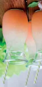 00209 glass can, 47,3 cl 6,4 cm 13,4 cm συσκ.: 24 2,91 93.00265 265 glass can, 14,8 cl 5,4 cm 9,9 cm συσκ.: 24 2,47 No-Nik 93.01906 hi-ball, 35,5 cl 7 cm 13 cm συσκ.