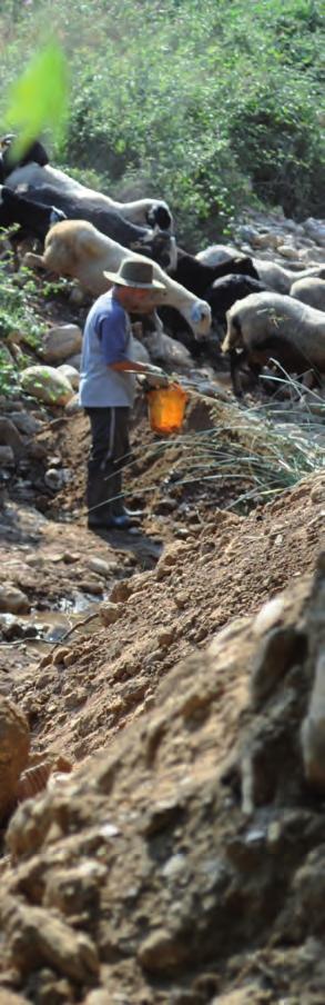 30 Γενική άποψη της ανασκαφής στη θέση PV1 από ομάδα φοιτητών όλων των βαθμίδων και μελών ΔΕΠ του Τμήματος Γεωλογίας και Γεωπεριβάλλοντος του Πανεπιστημίου Αθηνών, Ιούλιος 2010. Βιβλιογραφία Abel O.