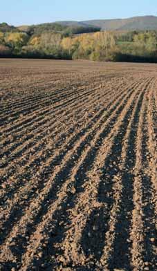 v poľnohospodárskej krajine: zväčšenie rozlohy mozaiky polí, lúk a trvalých kultúr o 165,5 km 2 na úkor najmä ornej pôdy (132,1 km 2 ), úbytok ornej pôdy o 56,9 km 2 najmä v prospech lúk (46,2 km 2