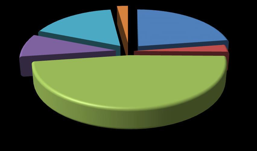 Perdangos 16,7% Grindys 2,2% Langai 22,6% Stogas 8,3% Durys 2,6% Sienos 47,6% 5 pav.