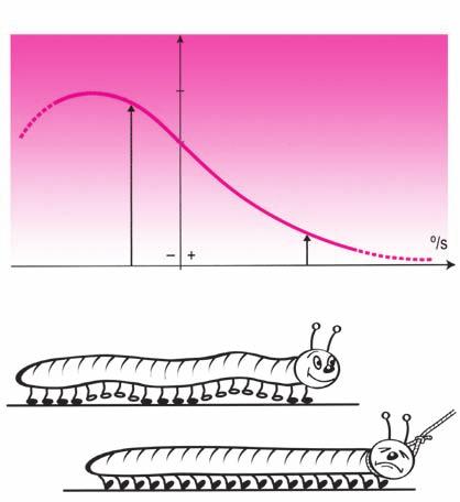 Για να απλοποιηθούν τα πράγματα θα παρομοιαστεί η κατάσταση της κίνησης με την κίνηση ενός μυριόποδου (Σχήμα 1.47 (Α)). Υποτίθεται ότι το μυριόποδο προχωρά αργά μπροστά.