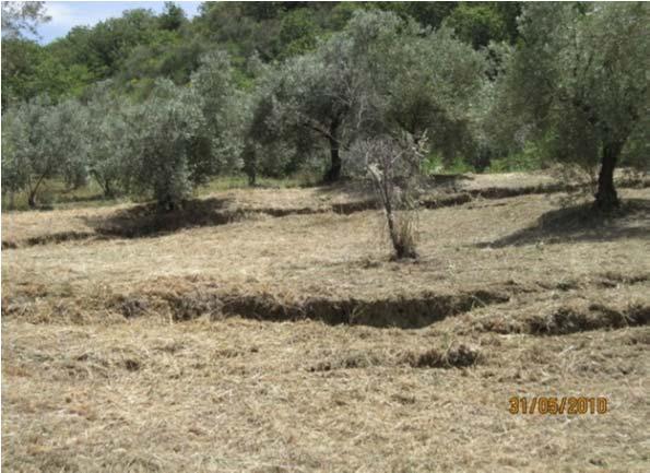 DSR6 σκυρόδεμα C20/25 διαστάσεων 1.40m(πλάτος)x1.20m(ύψος) Πάσσαλοι διάτμησης από οπλισμένο σκυρόδεμα C20/25 διαστάσεων O100/m, L=1m DSR6 13.31 1.40 Í.Ó.