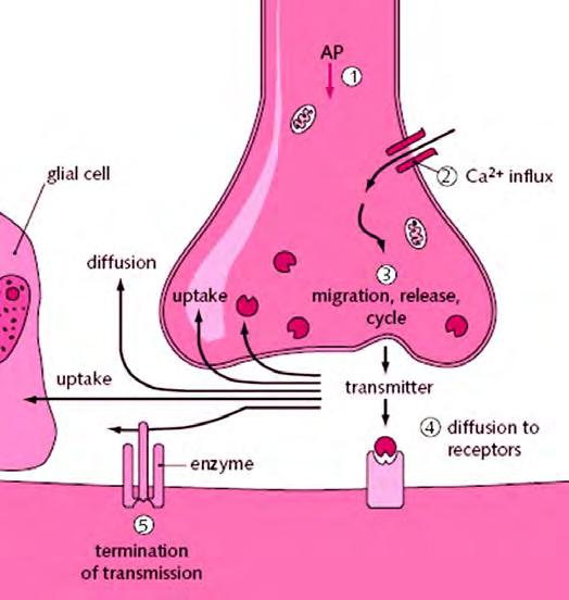 Βήμα 4.
