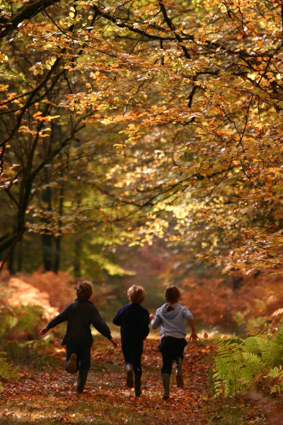 Σκοπός του Kids And Nature είναι να δώσει σε όσο το δυνατόν περισσότερα παιδάκια την ευκαιρία να παίζουν στη φύση και να διασκεδάζουν με τη ψυχή τους και ταυτόχρονα να