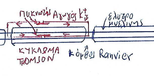Αυτό είναι ένα κύκλωμα Thomson, ένας πυκνωτής, που συνδέεται με μία αντίσταση RC και παράγει μεταβαλλόμενη διαφορά δυναμικού στον πυκνωτή.