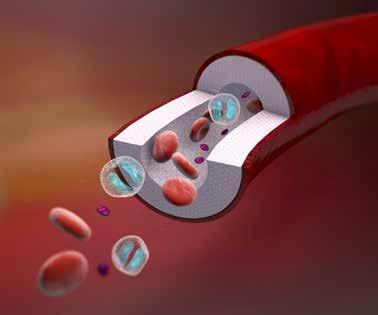 ΒΙΟΛΟΓΙΑ Β ΓΥΜΝΑΣΙΟΥ Βιβλίο Δραστηριοτήτων Γνωρίζετε ότι Οι ομάδες αίματος καθορίζονται από την παρουσία, ή μη, ειδικών πρωτεϊνών (αντιγόνων) που βρίσκονται στην επιφάνεια των ερυθρών αιμοσφαιρίων.