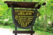 kako naprej (levo, desno, naravnost).