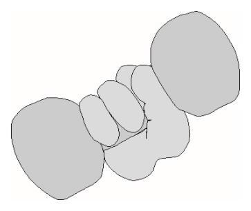 Δύναμη Γροθιάς Εξοπλισμός: δυναμόμετρο χειρός Πρωτόκολλο: Η δοκιμασία εκτελείται στην όρθια θέση (ή στην καθιστή για τους πιο ευπαθείς) με τα χέρια στο πλάι.