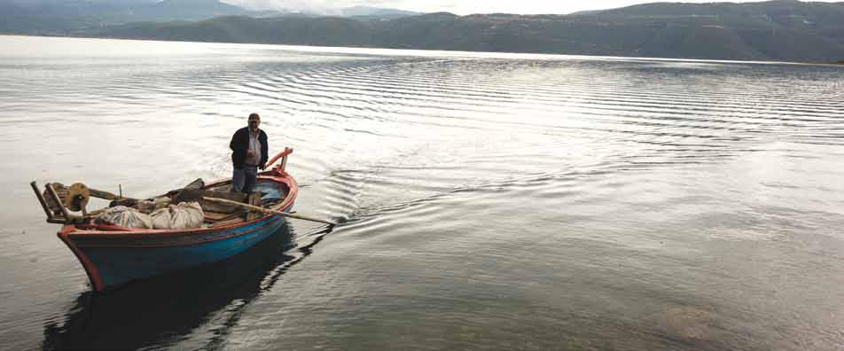 27 και Ναυπακτίας, το κάστανο Αρακύνθου Μακρυνείας, τα κηπευτικά Παναιτωλίου, ειδικότερα η ντομάτα Παναιτωλίου, το κοντόροκο καλαμπόκι, το γκρέιπφρουτ, τα λεμόνια και το μέρλιν πορτοκάλι Τριχωνίδας,
