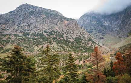 46 ΤΑΞΙΔΙ ΣΤΟΥΣ ΘΗΣΑΥΡΟΥΣ ΤΗΣ ΦΩΚΙΔΑΣ Η Φωκίδα ανήκει στην Περιφέρεια Στερεάς Ελλάδας, έχει πρωτεύουσα την Άμφισσα και συνορεύει με τη Βοιωτία ανατολικά, τη Φθιώτιδα βόρεια και την Αιτωλοακαρνανία