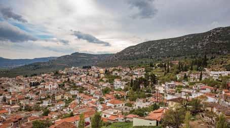 49 Το κρασί και ειδικά το τσίπουρο έχουν και εδώ την τιμητική τους, όπως και το θυμαρίσιο μέλι, το μέλι ελάτης, το μέλι πεύκου, τα αμύγδαλα και τα καρύδια, ενώ σημαντική θέση στο τραπέζι της Φωκίδας