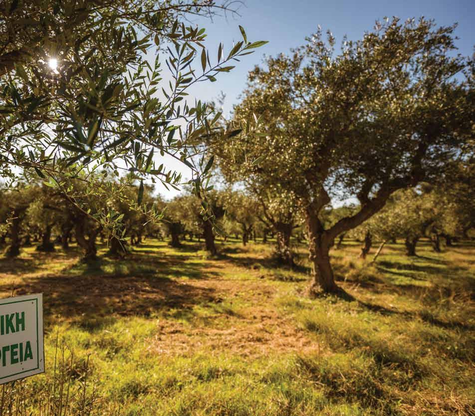 Ο διατροφικός πολιτισμός και τα βιολογικά προϊόντα 05 Η φύση έχει όλες τις απαντήσεις και η γη