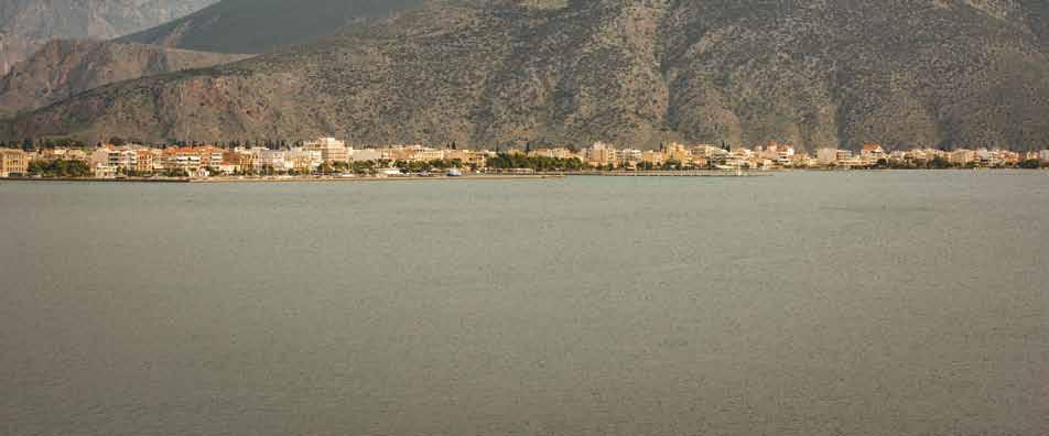 51 Η Φωκίδα μας δίνει προϊόντα ΠΟΠ όπως: Η ξακουστή Κοσνερβολιά Αμφίσσης, επιτραπέζιες ελιές που καλλιεργούνται σε Άμφισσα, Ιτέα, Δελφούς και στις κοινότητες Χρισσού, Σερνικακίου, Αγίου Κων/νου.