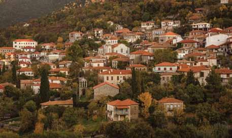 χ και το Μουσείο της Αρχαίας Ήλιδας. Το Λαογραφικό Μουσείο Ανδρίτσαινας διαθέτει εκθέματα από την κοινωνικοοικονομική ζωή της ορεινής Ολυμπίας.