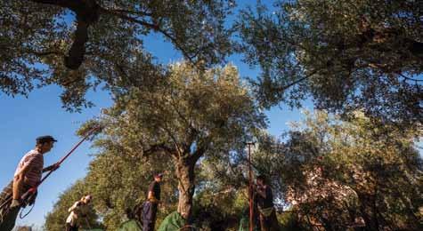 Πολλές είναι οι πολιτισμικές, τουριστικές και θρησκευτικές εκδηλώσεις και δραστηριότητες, που αποτελούν αφορμή να παρουσιαστούν τα τοπικά προϊόντα.