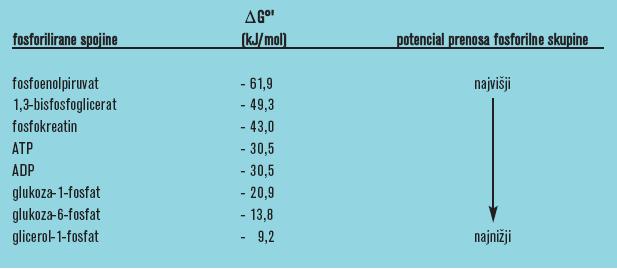 Slika 59. Anaerobni metabolizem. Povezava med katabolnimi in anabolnimi procesi. Slika 60. Fosforilirane spojine.