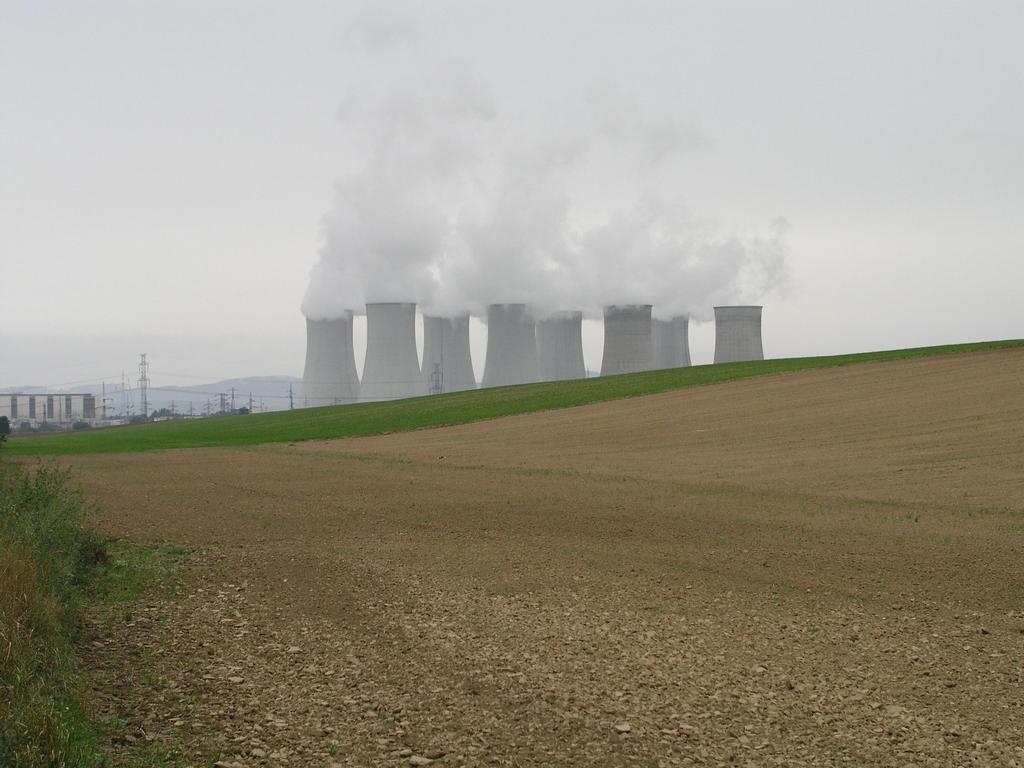 Fytoindikácia environmentálnej mutagenézy fytoindikácia ekogenotoxicity v podmienkach in situ