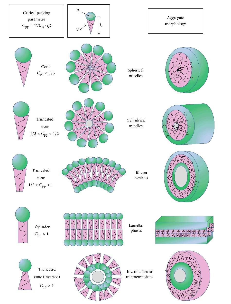 Σχήμα 1.2.4 Πρόβλεψη της γεωμετρίας των διαφόρων συσσωματωμάτων που μπορούν να δημιουργήσουν τα αμφίφιλα μόρια όπως αυτή προκύπτει από την χρήση του παράγοντα πακεταρίσματος (Lombardo, et al., 2015).