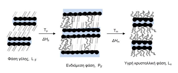 Σχήμα 6.