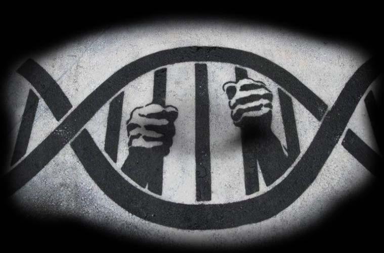 οι γλώσσες μιμίδια 63 γλώσσες ανταγωνιζόμενες ως μιμίδια