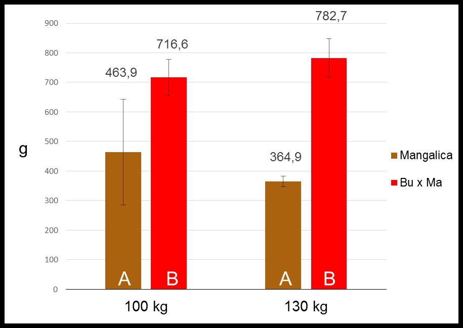 Priebežné výsledky - priemerný denný prírastok a spotreba krmiva na 1 kg prírastku pri mangalici a krížencov Bu x Ma Graf č. 1. PDP mangalice a krížencov Bu x Ma Graf č.