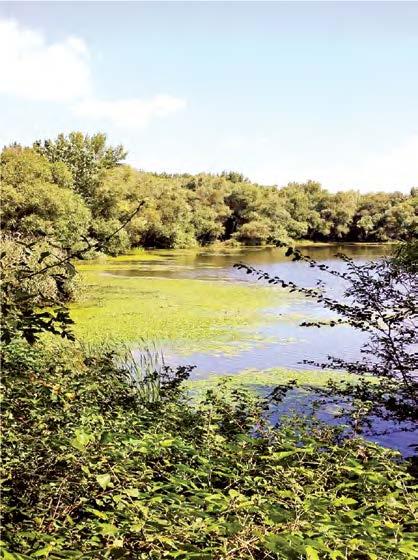 ENVIROSLOVENSKO Samosprávne kraje a životné prostredie Župy sa v zmysle 4 zákona č. 302/2001 Z. z. o samospráve vyšších územných celkov podieľajú na tvorbe a ochrane životného prostredia (ŽP).