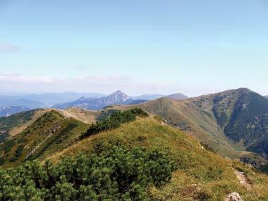 ENVIRORELAX Národný park Malá Fatra láka jedinečnosťou prírodných krás Malá Fatra je malebné pohorie v severozápadnej časti Slovenska, ktoré ponúka obrovské bohatstvo v podobe jedinečnosti prírodných