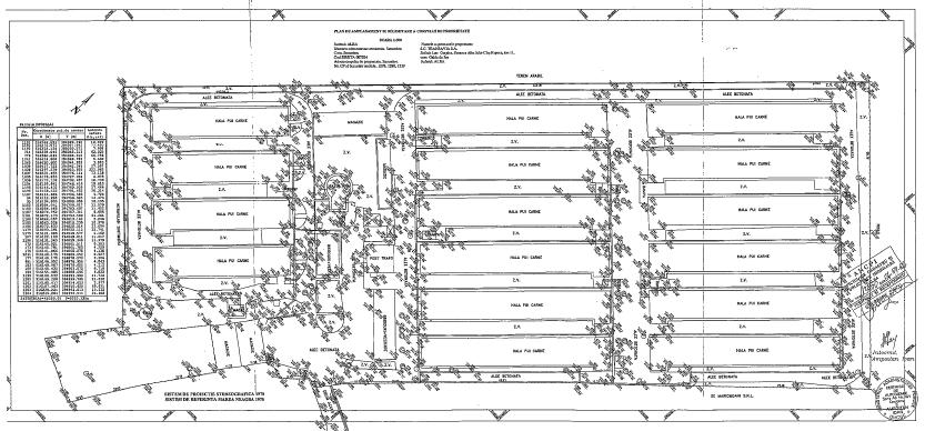 Figura 4: Plan