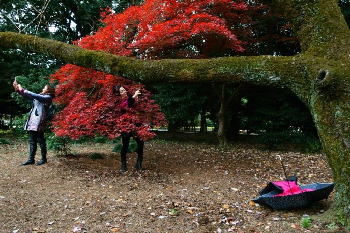Αποτελεί μία περιοχή για απόδραση και χαλάρωση για τους κατοίκους του Τόκιο, ειδικά το φθινόπωρο που το φύλλωμα των δέντρων δημιουργεί μία πανδαισία χρωμάτων.