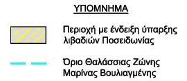 Σε βάθη μικρότερα των -6m παρατηρείται πλήρης απουσία του αγγειοσπέρμου, ενώ σε μεγαλύτερα βάθη παρατηρείται παρουσία υγιών λιβαδιών μικρής έως μέτριας έκτασης καθώς και αμμώδεις εκτάσεις με