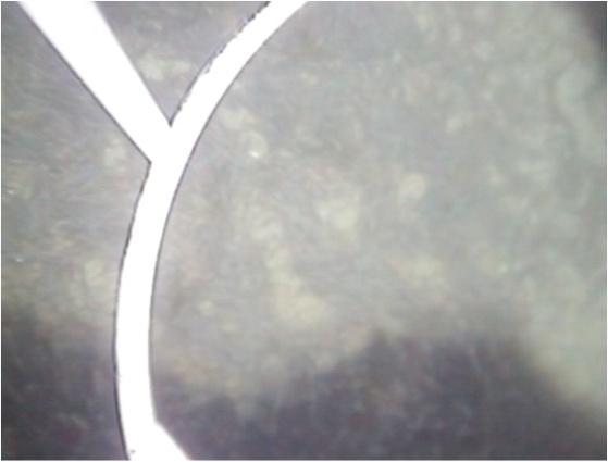 5 Φωτ.