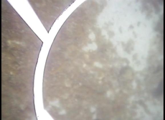 9 Φωτ.