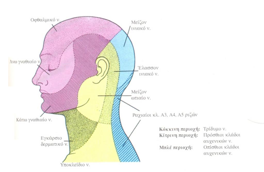 Εικ.142