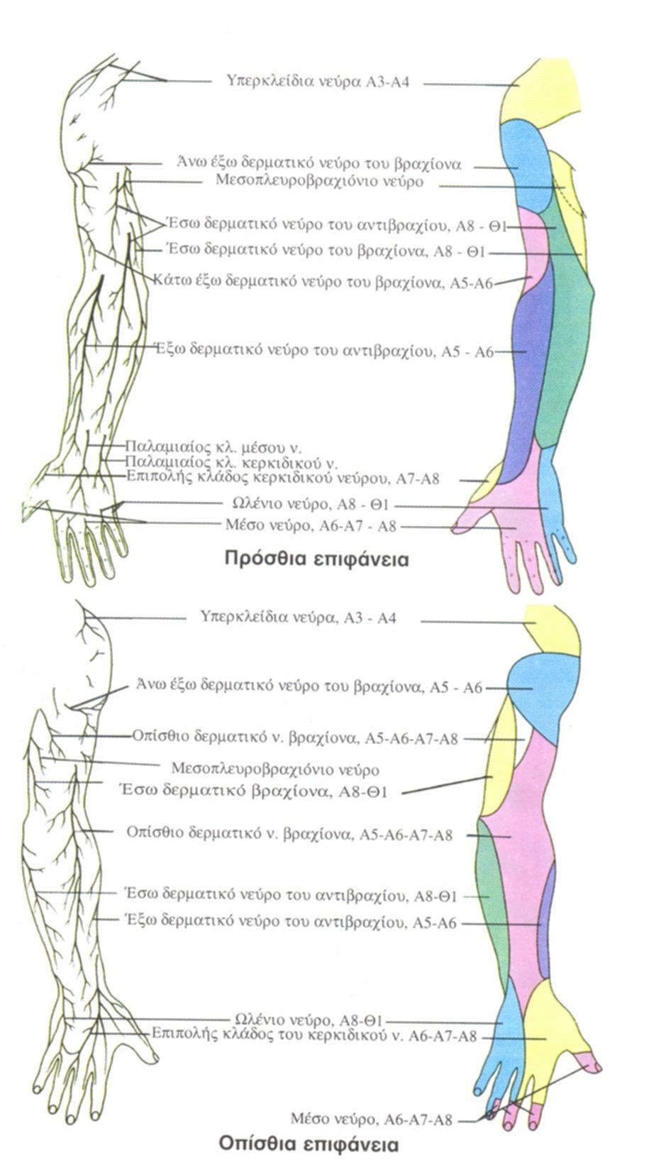 Εικ.144