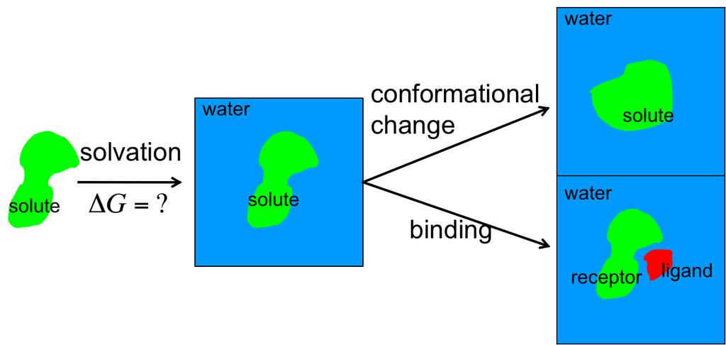 Solvation