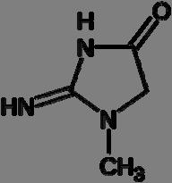 Najprej v ledvicah iz arginina (α-aminokislina) in glicina (najenostavnejša aminokislina) nastaneta ornitin (α-aminokislina) in gvanidnocetna