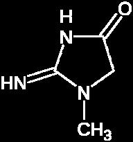 Reakcijo transamidinacije katalizira encim arginin-glicin amidinotransferaza, ki prenese amidno skupino iz arginina na glicin.