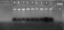 65.52.77.84.63.56.65.80.67.56.55.