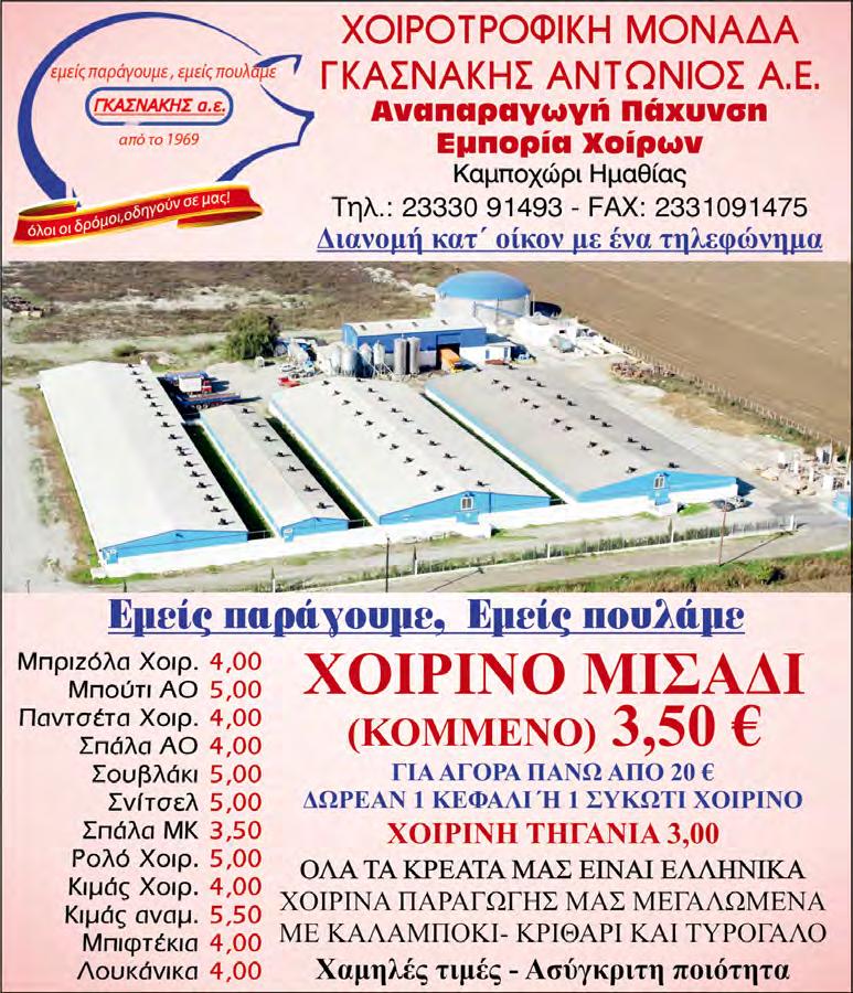P Σημειωτέον ότι κάποτε σ αυτή τη χώρα δικαίως παλεύαμε για το ντε μόνιμους. P Μέχρι και η πανίσχυρη Άγκελα αποχωρεί, Έλληνας δημόσιος υπάλληλος ποτέ.