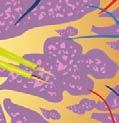 material tissue