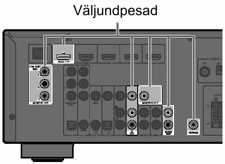 Sisend- ja väljundpesade eristamine. Ala mis on märgistatud valgega audio/ video väljundpesade ümber, et välistada ühendusvigu.