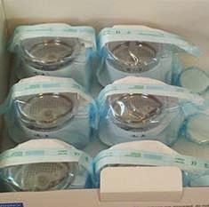 Dentin Grinder TM 6 αποστειρωµένους θαλάµους