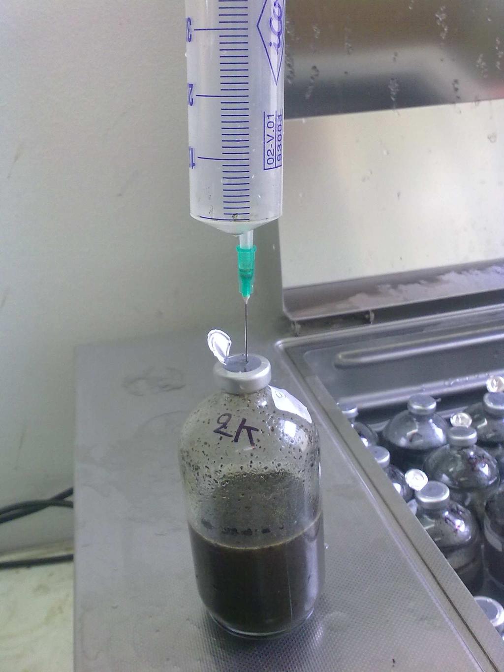 Υπόστρωμα 1 ή 2gr Αναερόβια ιλύς = 40ml Υδατικό διάλυμα = 40ml Β1 (3