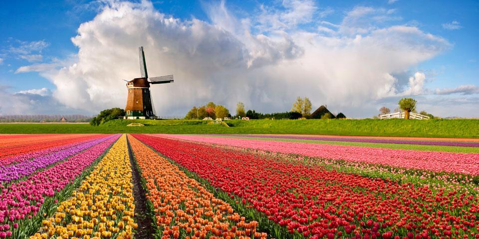 Μπενελούξ Βέλγιο - Λουξεμβούργο Ολλανδία Στην καλύτερη εποχή του χρόνου με δυνατότητα επίσκεψης στο πάρκο λουλουδιών Keukenhof Αναχώρηση: 04.
