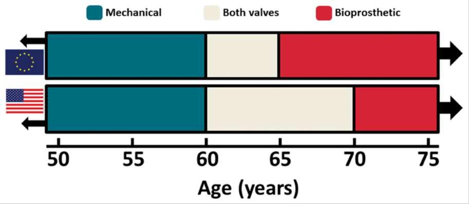 From: Mechanical versus bioprosthetic aortic valve replacement Eur Heart J. 2017;38(28):2183-2191. doi:10.