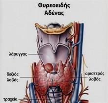 ΑΣΘΕΝΕΙΕΣ ΠΟΥ ΣΥΝΔΕΟΝΤΑΙ ΜΕ ΤΟΝ ΘΥΡΕΟΕΙΔΗ