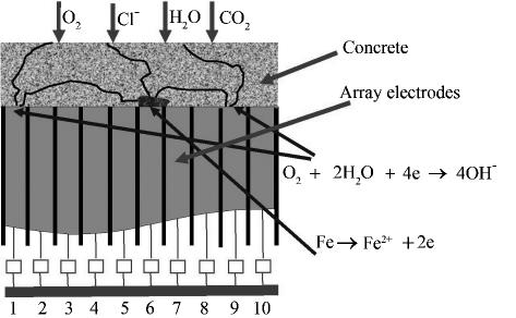 1 61 1 1 1 10 0 3 mm 10 μm 10 10 1 Fig 1 Schematic diagram showing the array electrode for 1 2 simulating measurement corrosion behavior of reinforcing steel in concrete 0 9mm 1 3 0 6 57 mm 60 mm 10